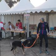 Img 20240407 81148